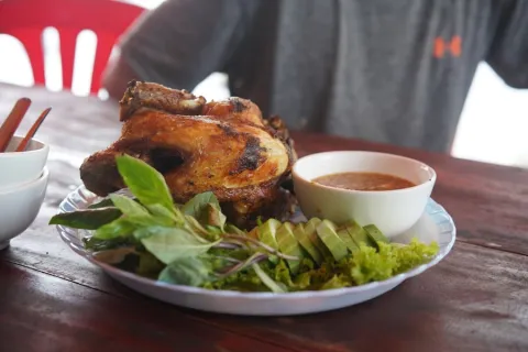 Grilled chicken with herbs, cucumber and dipping sauce